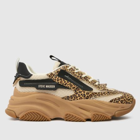 Womens Print Steve Madden Possession-e Trainers | schuh | Schuh