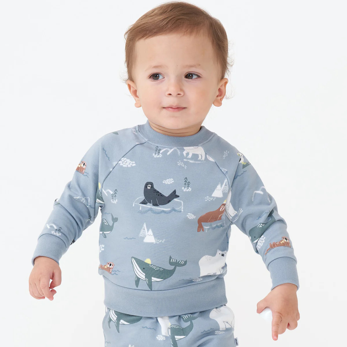 Arctic Animals Crewneck Sweatshirt | Little Sleepies