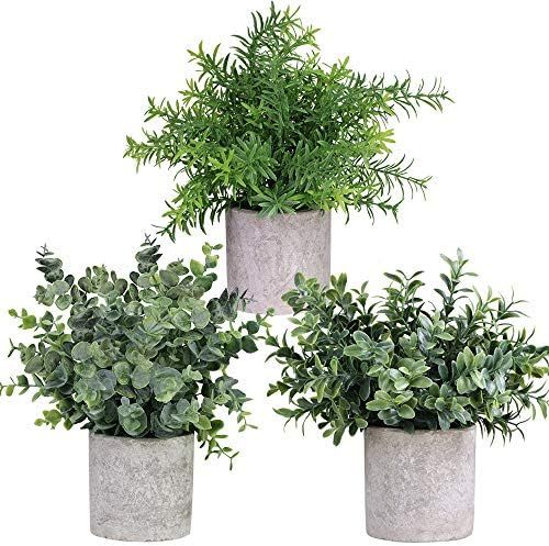 Amazon.com - Mini Potted Plants Artificial Eucalyptus Boxwood Rosemary Greenery in Pots Faux Pott... | Amazon (US)