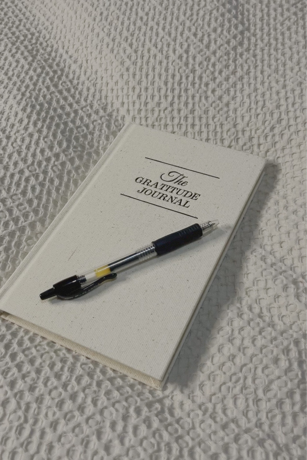 This has become my morning routine and it brings me sooooo much joy. Best way to starts out your day

#LTKFind #LTKsalealert