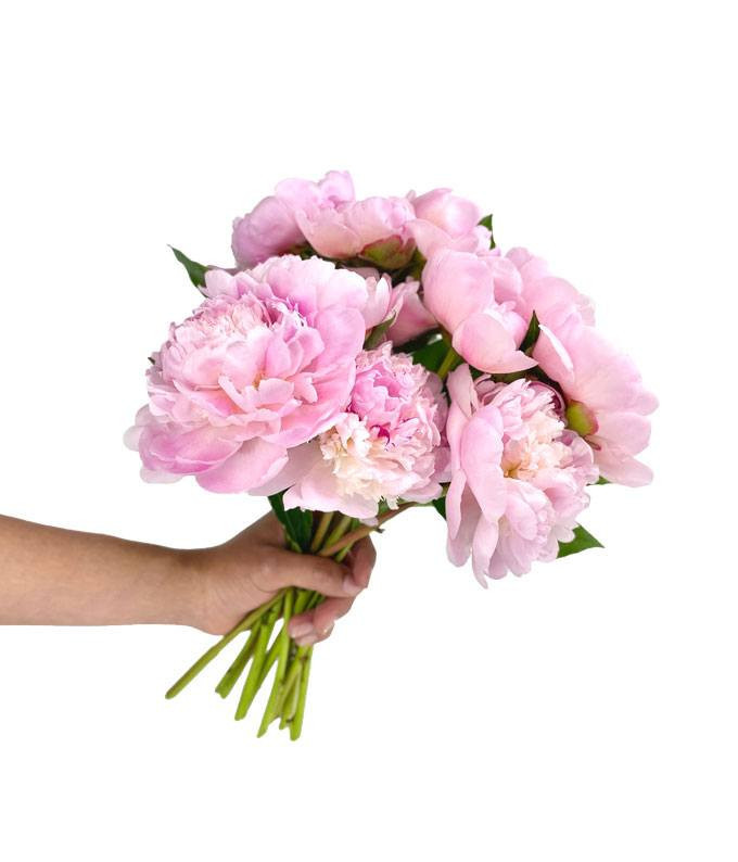 Pretty Pink Peonies | From You Flowers