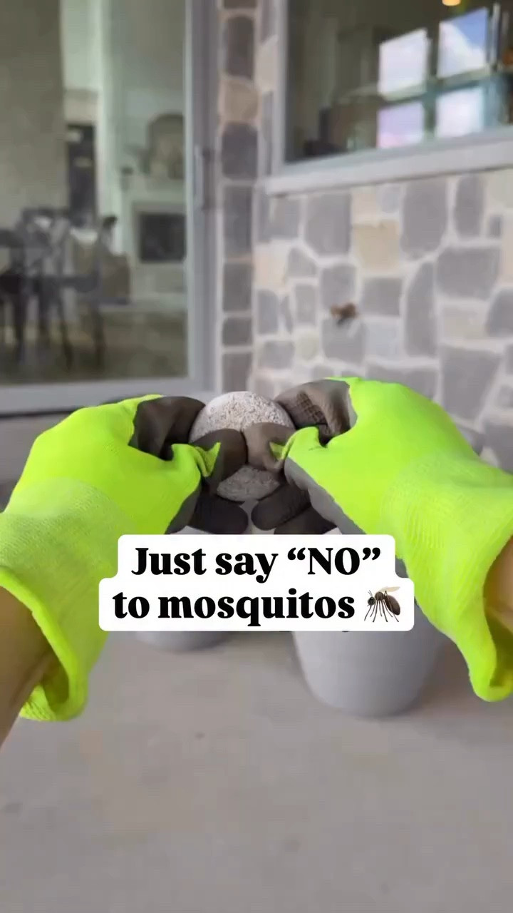 My viral mosquito eradication HACK. 🦟 My inexpensive mosquito-killing hack that actually works from @amazon , and I’m not the only one who loves them: Over 20,000 purchased this months alone!!

You can definitely use cheap buckets if you prefer. I use a few inexpensive planters and place them strategically to keep my outdoor space looking beautiful.

We’ll take our summer nights mosquito-free!

I’ve also linked it in my bio for you:

#amazongadgets #nomosquitos 

Mosquito killer
Mosquito trap
Mosquito abatement
Bug-free

#LTKdayinmylife #LTKmomlife #LTKSeasonal