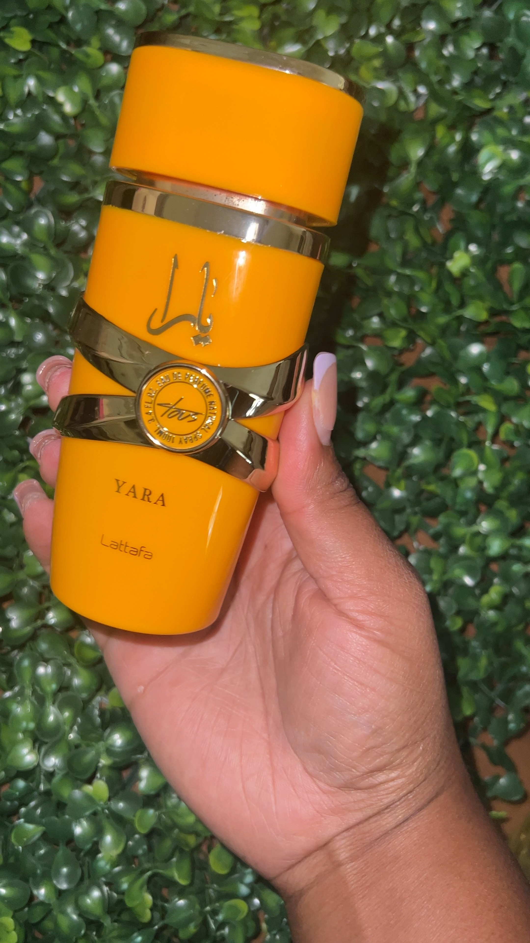 Amazing perfume under $30! 

#LTKstyletip #LTKSeasonal #LTKfindsunder50