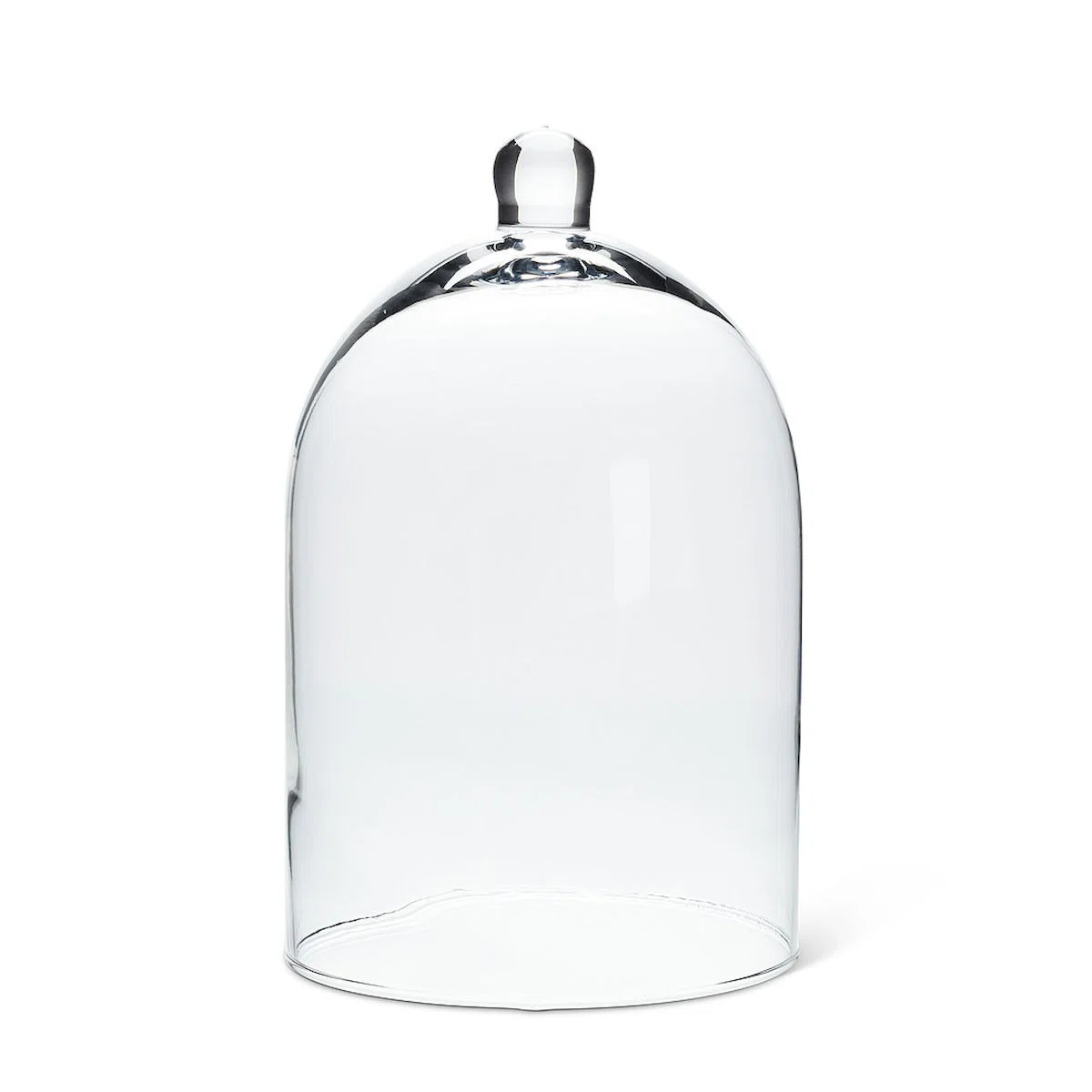 Emmajoy Cloche Or Water Globe | Wayfair North America