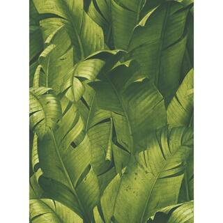 NextWall Tropical Banana Leaves Green Botanical Vinyl Peel & Stick Wallpaper Roll (Covers 30.75 S... | The Home Depot