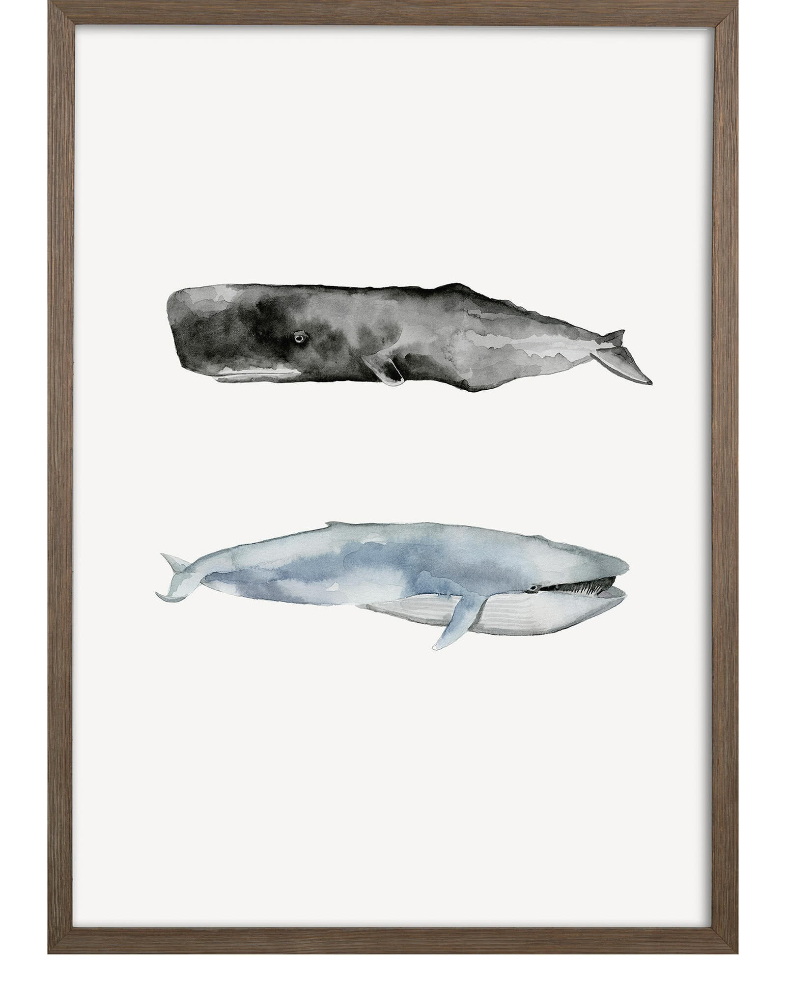 "Whale Grouping2" by Natasha Marie | Serena and Lily