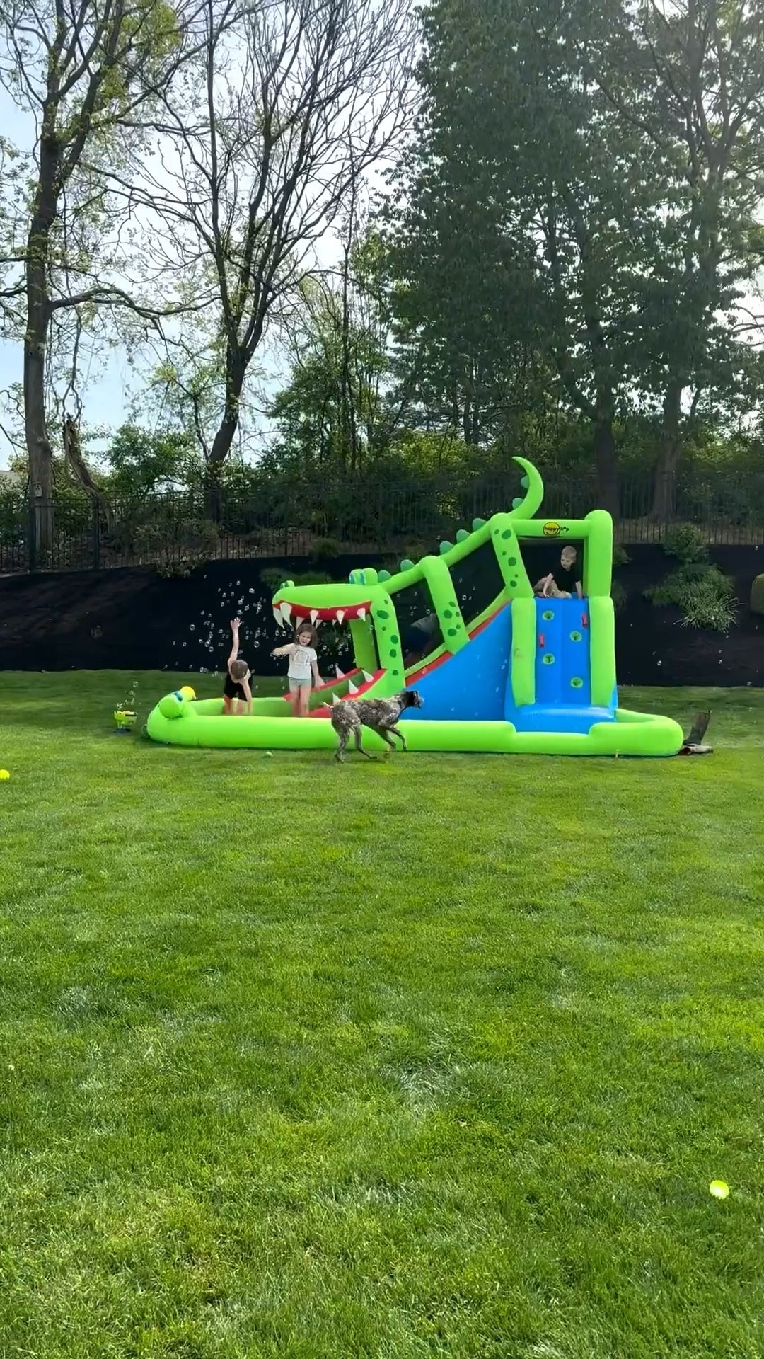 This inflatable has been one of THE best purchases! Loading a 90’s summer … ☀️ 💦 🐊 🫧

#LTKdayinmylife #LTKHome #LTKKids