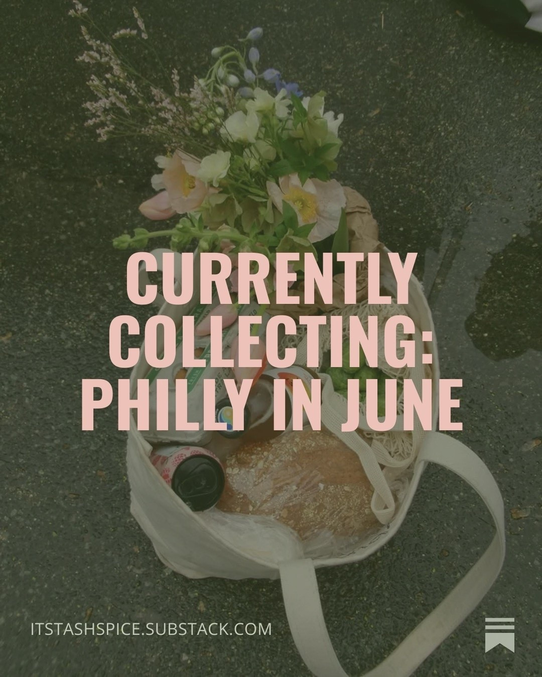 sharing the products from my currently collecting substack post! 
from my susan alexandra favorites, my go-to incense and what i use to always smell like the beach

#LTKselfcare #LTKSeasonal