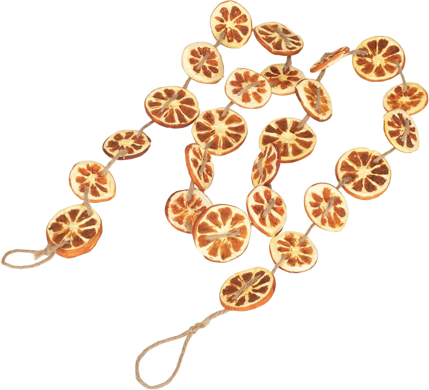 RAZ Imports 2022 Holiday in Provence 5.5' Orange Slice Garland | Amazon (US)