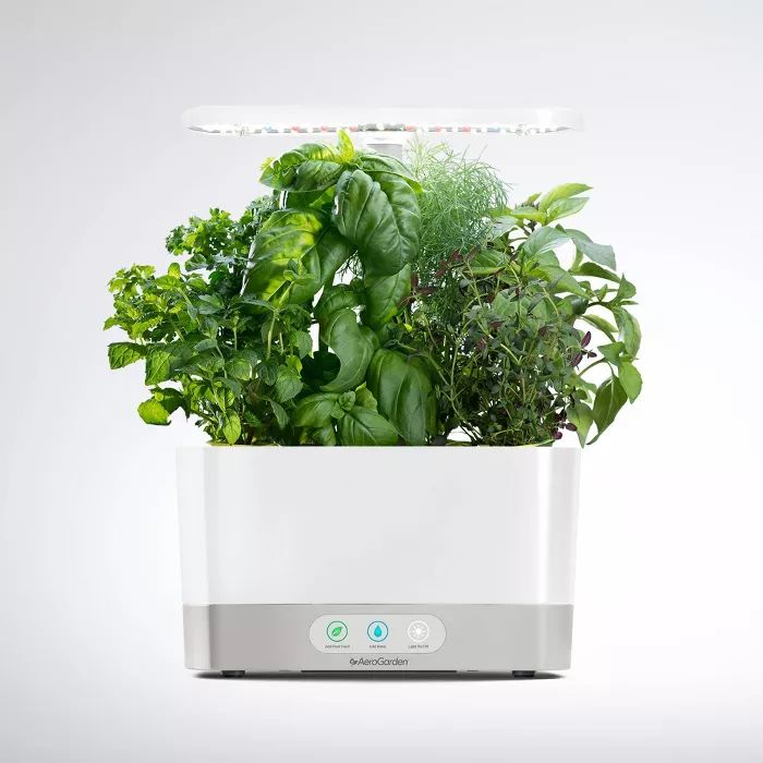 Harvest Planter - AeroGarden | Target