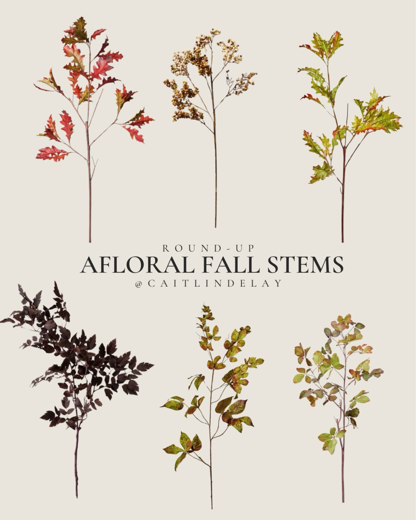 Beautiful fall stems to get your home ready for the season! Fall home decor, fall, living room, halloween

#LTKHome #LTKSeasonal #LTKFindsUnder50
