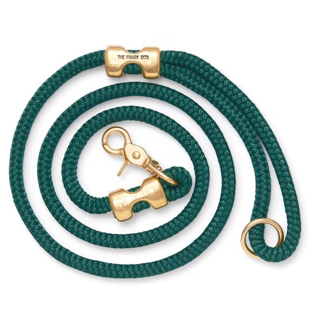 The Foggy Dog Evergreen Marine Rope Dog Leash | Chewy.com