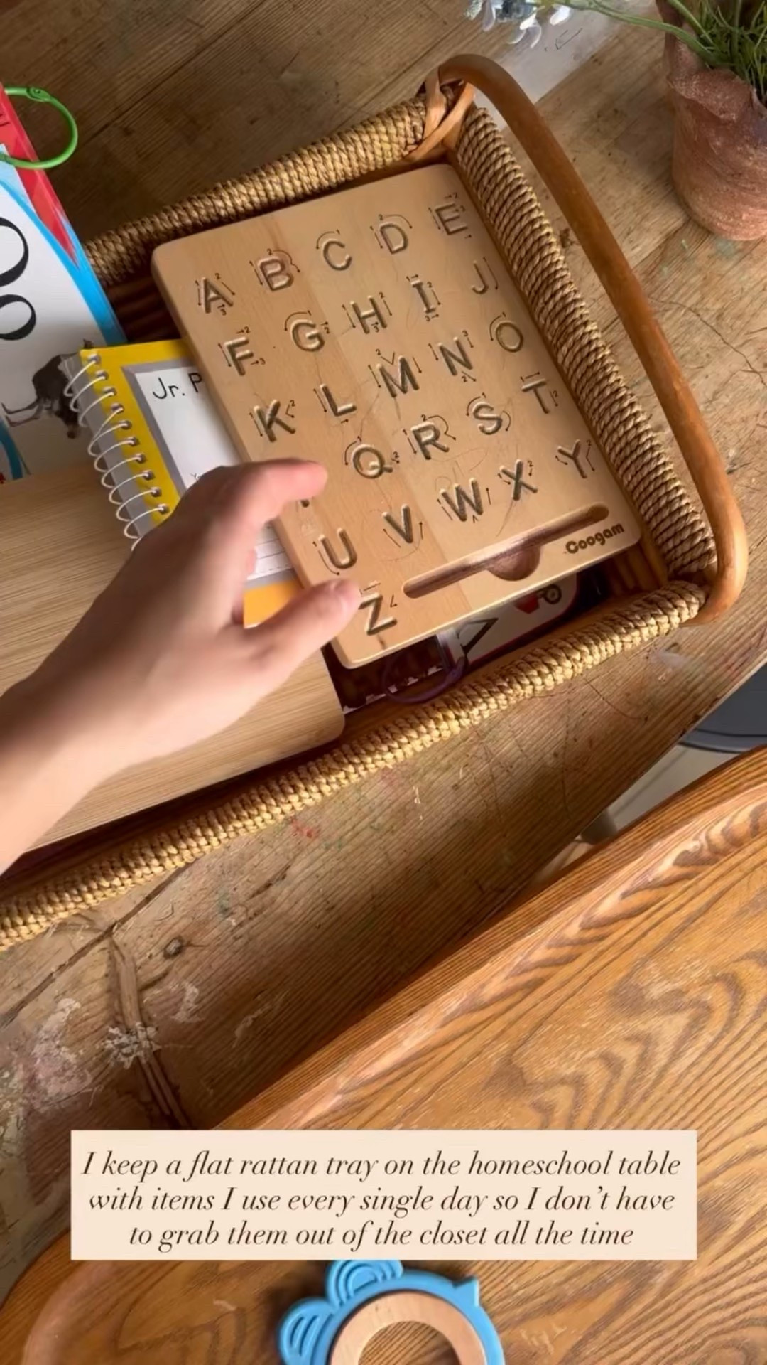 My homeschool basket of must haves✨

#LTKHome #LTKmomlife #LTKSeasonal