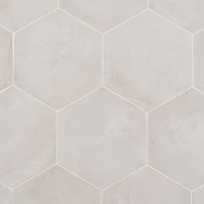 Artmore Tile Storm Hex 29-Pack Bianco 8-in x 10-in Matte Porcelain Encaustic Floor and Wall Tile | Lowe's