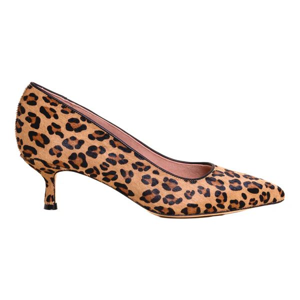 Fierce Leopard Haircalf Kitten Heel | ALLY Shoes