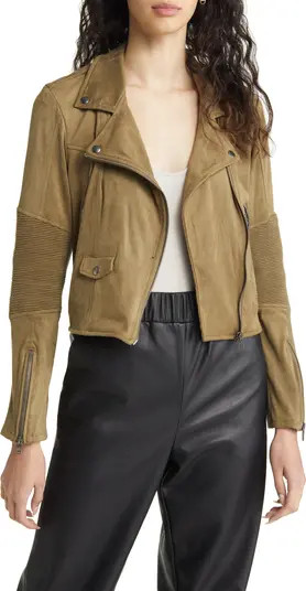 BLANKNYC Faux Suede Moto Jacket | Nordstrom | Nordstrom