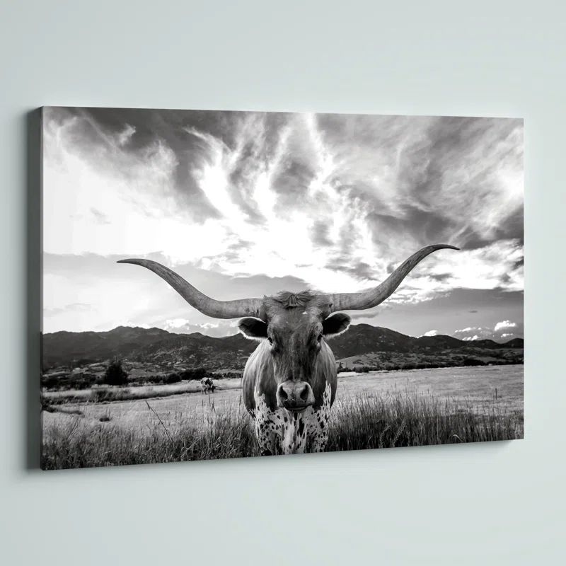 Black And White Longhorn Cow I - Wrapped Canvas Photograph | Wayfair North America
