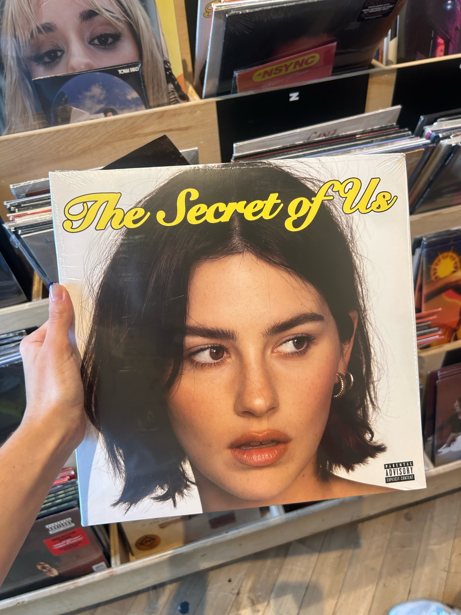 the secret of us vinyl