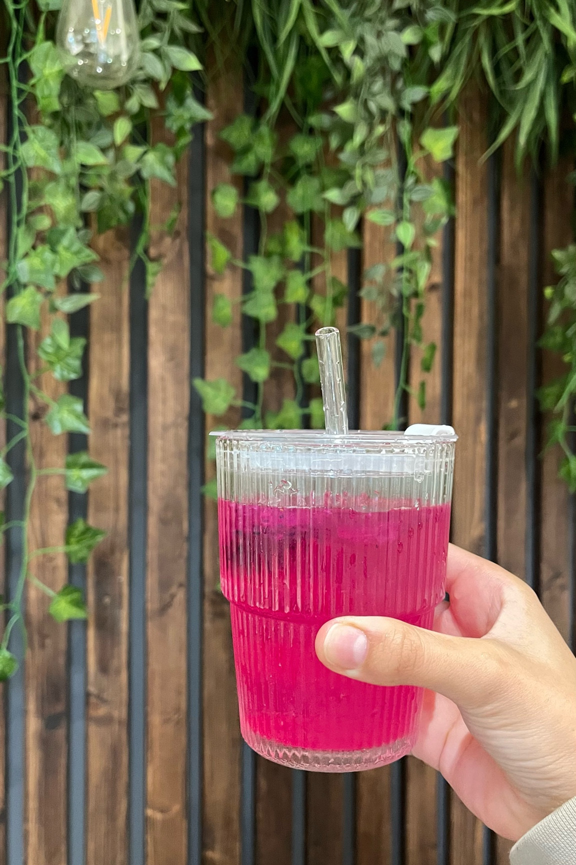 Mango dragonfruit refresha at home 🌺💕🌸