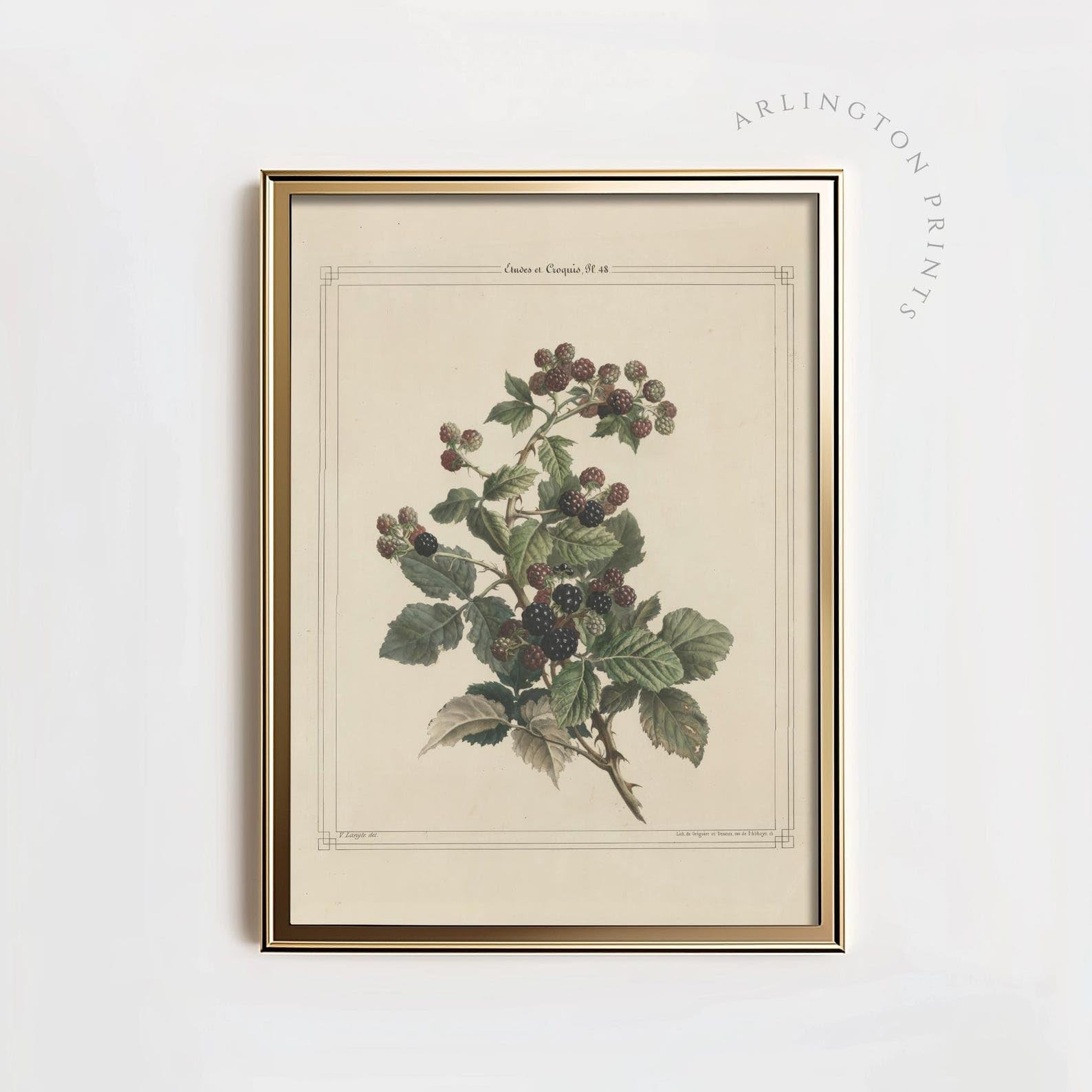 Brand: qanosem | Amazon (US)