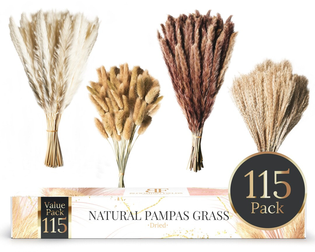 Blooming Fields 115 Pack Natural Pampas Grass Bouquet Decor - Tall Dried Pompous Grass Pampas Flo... | Etsy (US)