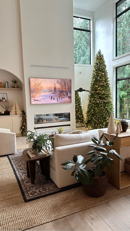  Christmas decor
Living room
