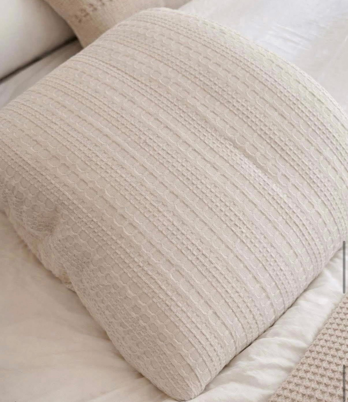 ✨⬇️ lowest price yet on my neutral comforter set

My new gorgeous neutral all-season comforter set is at its lowest price yet 🙌

It comes in multiple colors + sizes and has that soft, elevated look that works year-round — perfect for a bedroom refresh without spending a ton.

I’m linking this one plus more Wayfair Way Day bedroom finds I love that are included in the current sale!

#LTKSaleAlert #LTKdayinmylife #LTKHome