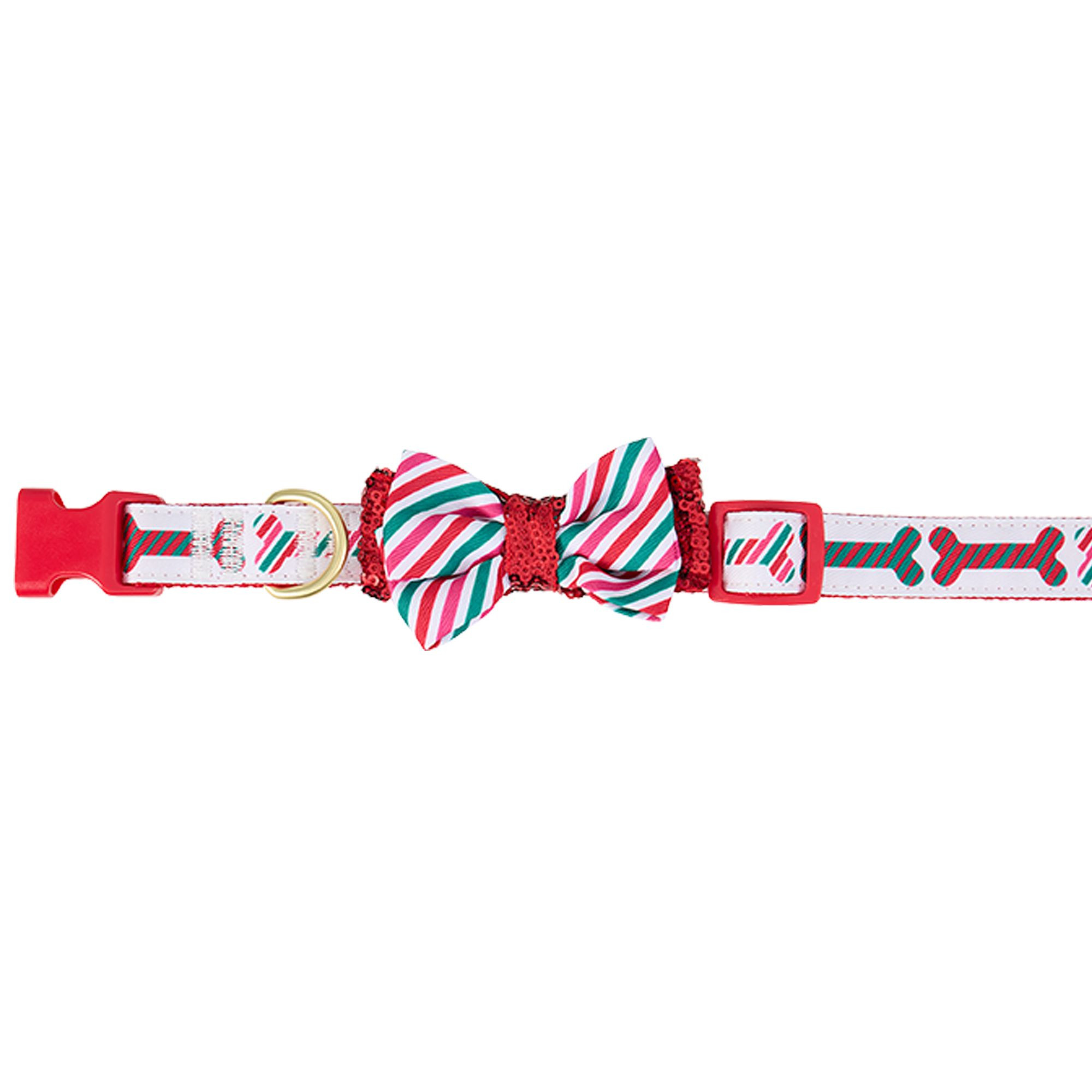 Merry & Bright® Bones Holiday Dog Collar | PetSmart