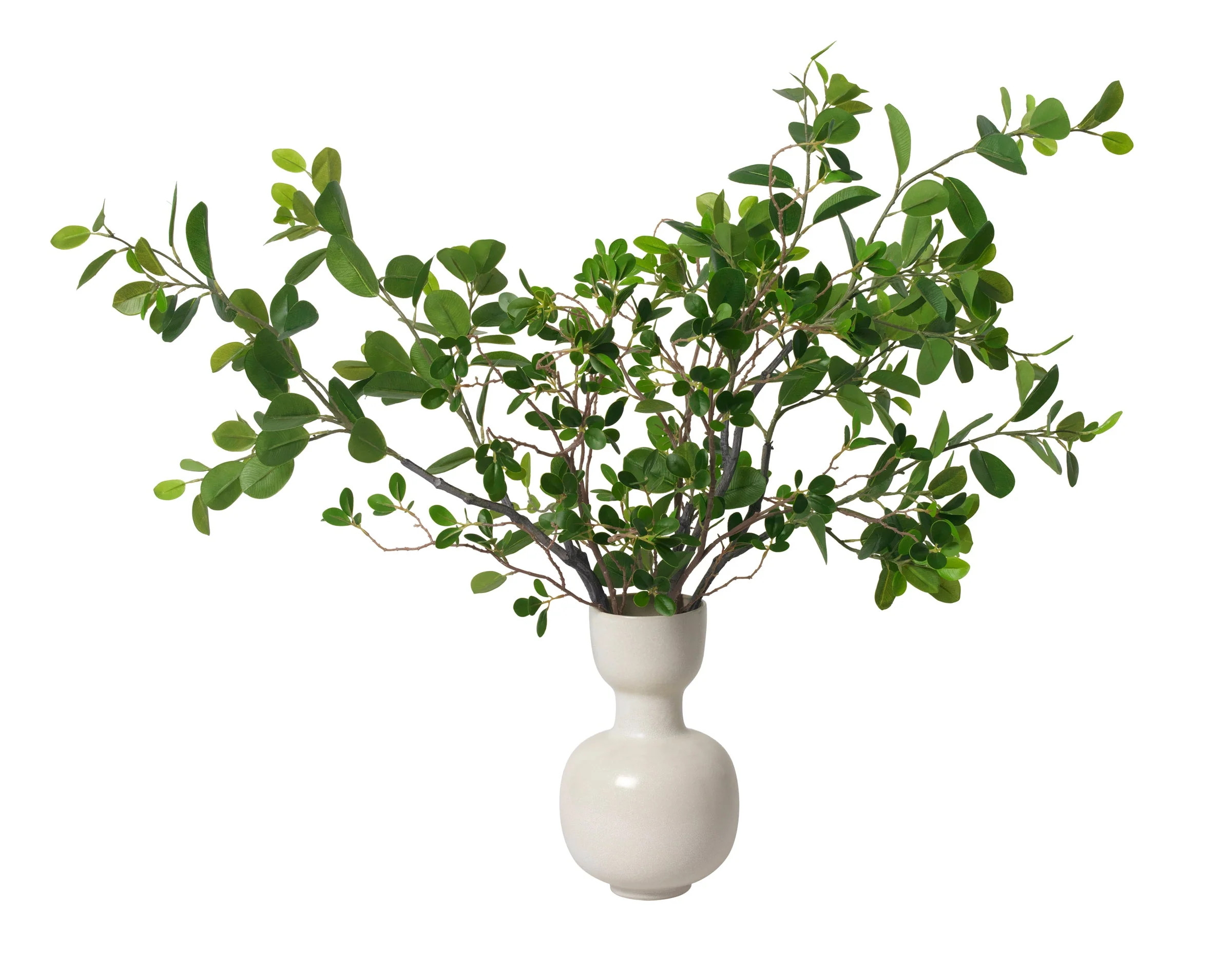 Ficus Branches in Ceramic Vase | Stark Carpet