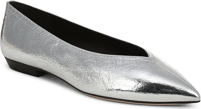 Bancroft Pointed Toe Flat (Women) | Nordstrom