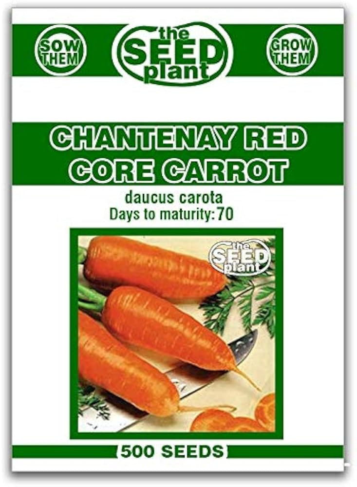 Chantenay Red Core Carrot Seeds - 500 Seeds Non-GMO | Amazon (US)