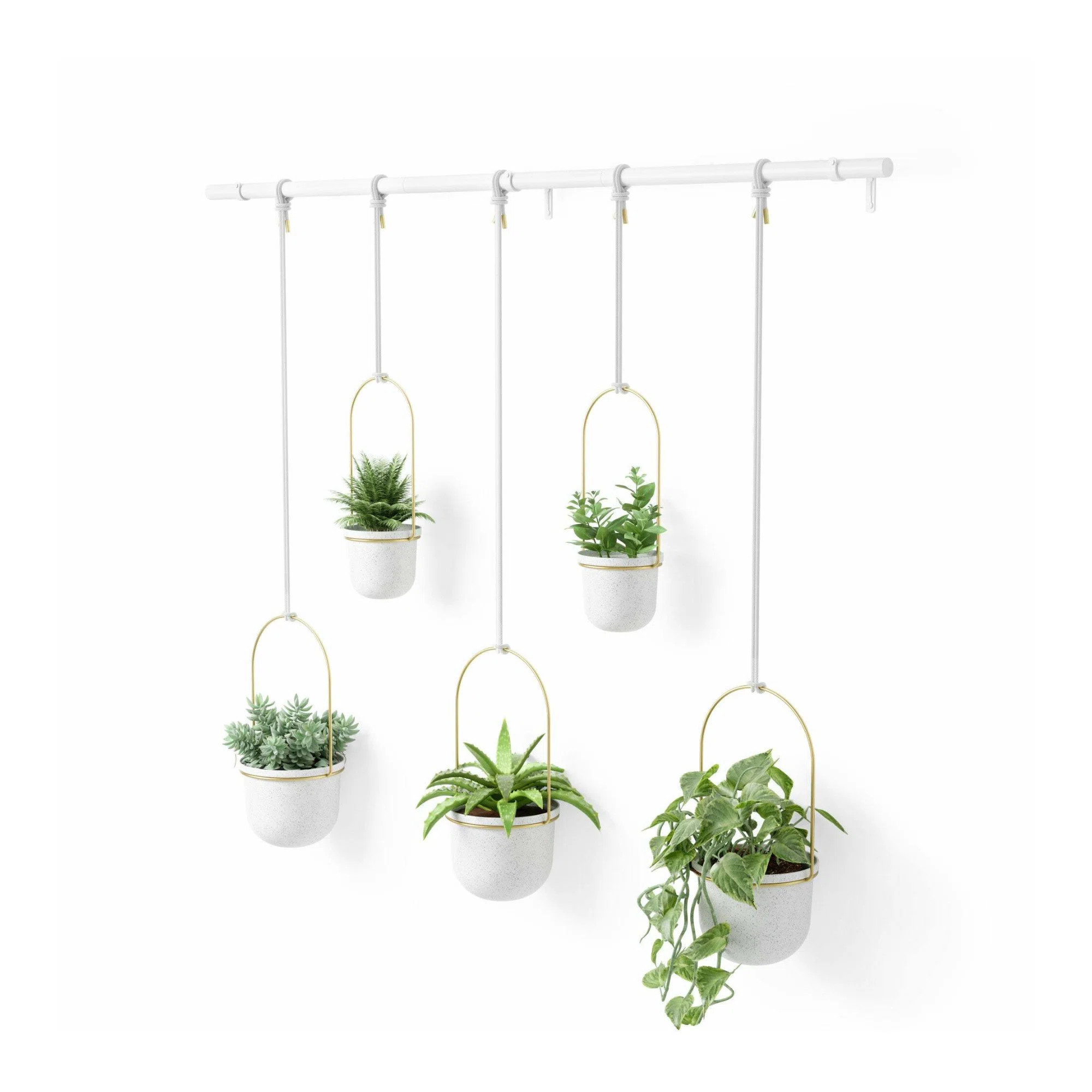 Hanging Planter | Wayfair North America