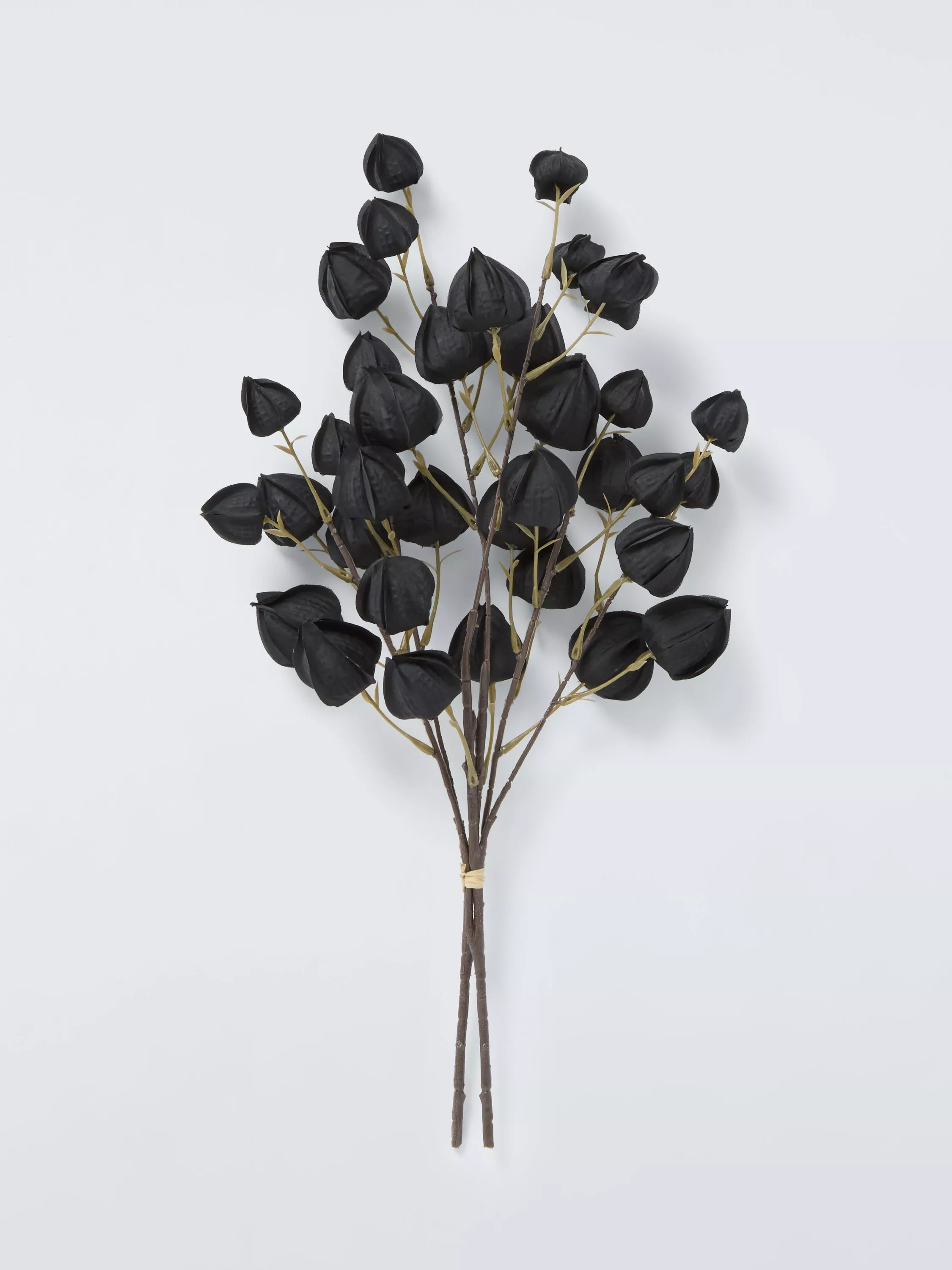 John Lewis Chinese Lantern Stems Decoration, Black | John Lewis (UK)
