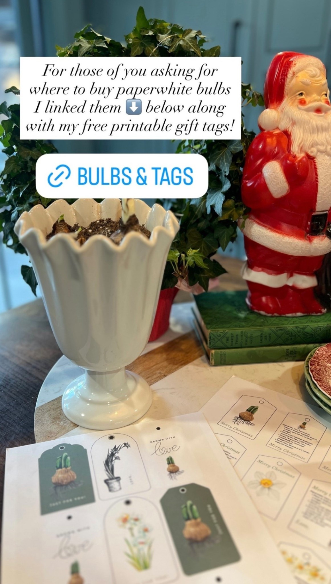 Insta story details!!

#LTKHome #LTKSeasonal #LTKHoliday