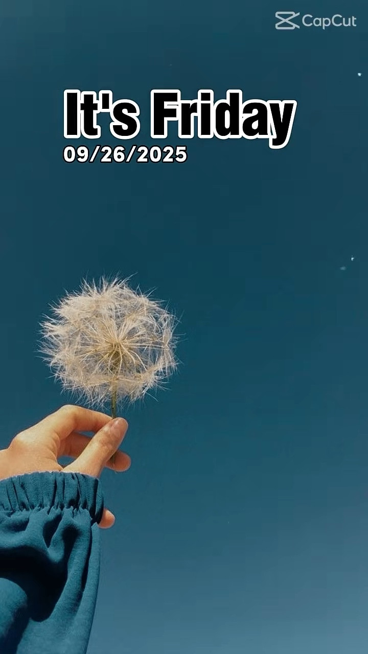 ✨ Friday feels — grateful for progress, cozy fall inspo & weekend style must-haves 🍂
#LadyVInspires #letsorganize

#LTKOver40 #LTKTall #LTKTravel