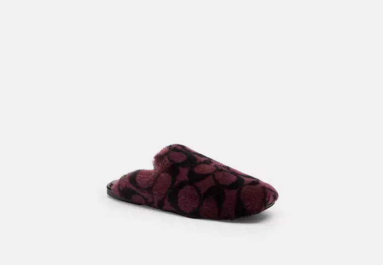 Slipper In Signature Shearling | Coach (US)