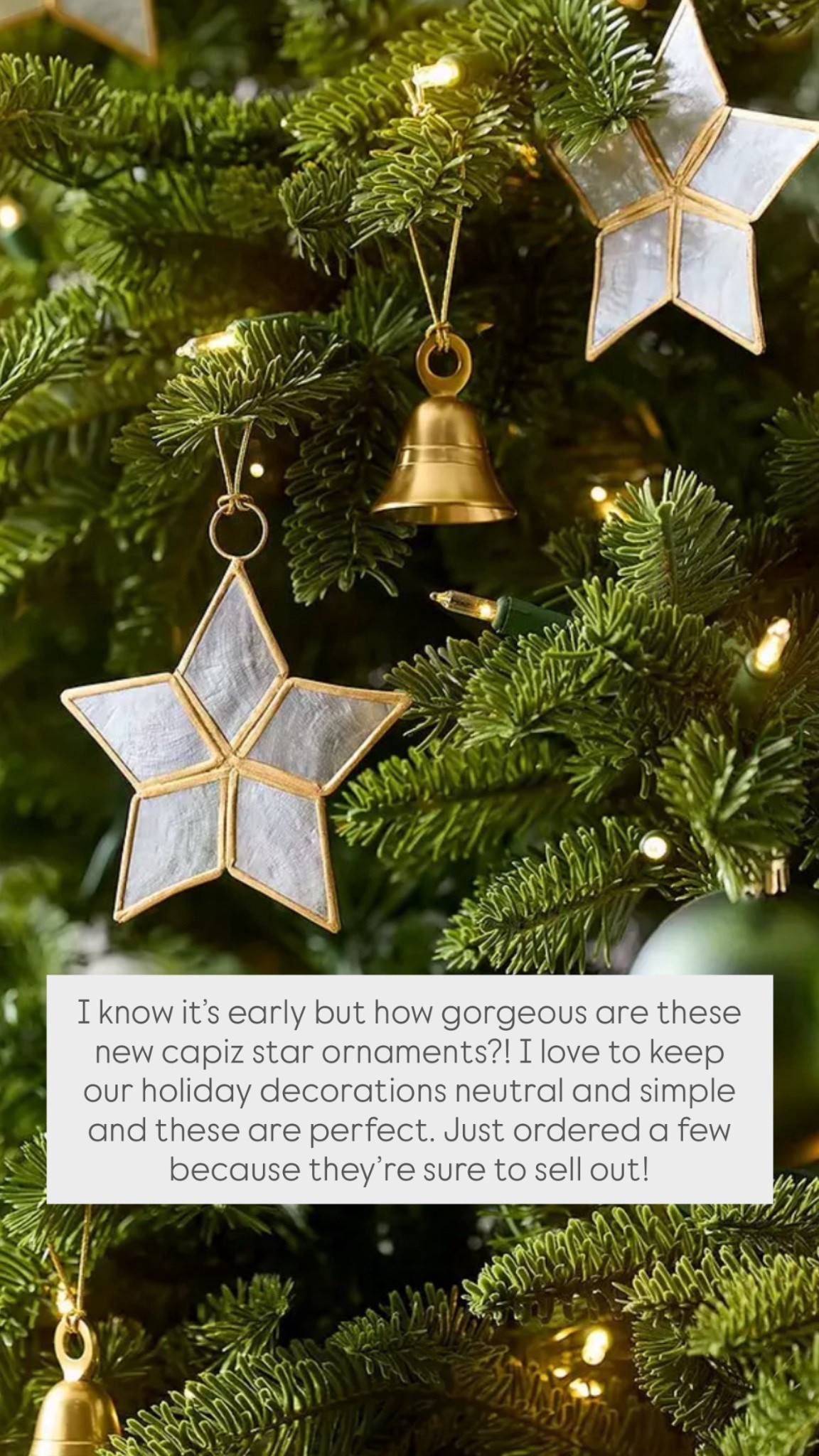 I know it’s early but how gorgeous are these new capiz star ornaments?! I love to keep our holiday decorations neutral and simple and these are perfect. 

Modern coastal holiday ornaments that are sure to sell out quickly!! 

#LTKFindsUnder100 #LTKSeasonal #LTKHome