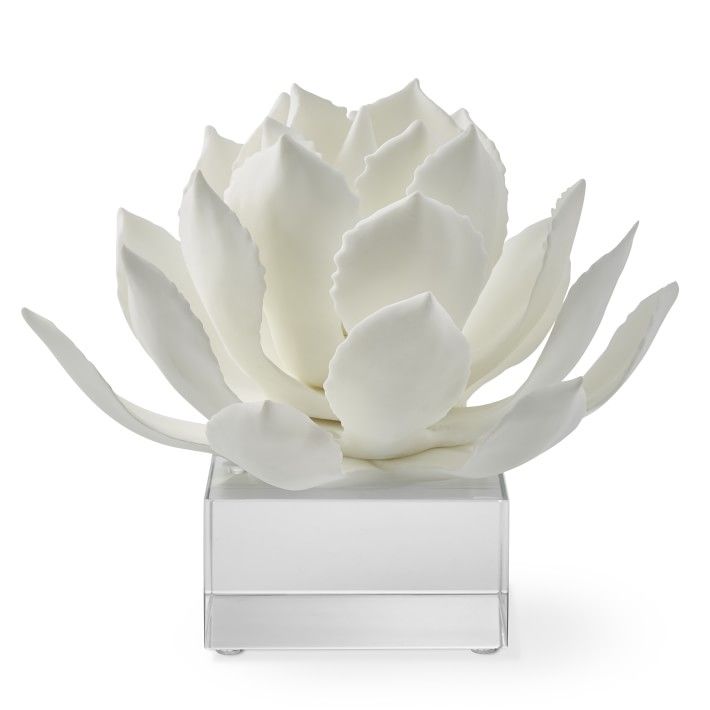 White Agave On Acrylic Stand | Williams-Sonoma