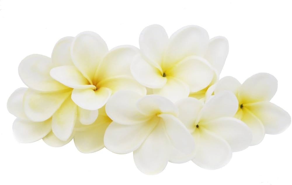 Winterworm Bunch of 10 PU Real Touch Lifelike Artificial Plumeria Frangipani Flower Bouquets Wedd... | Amazon (US)