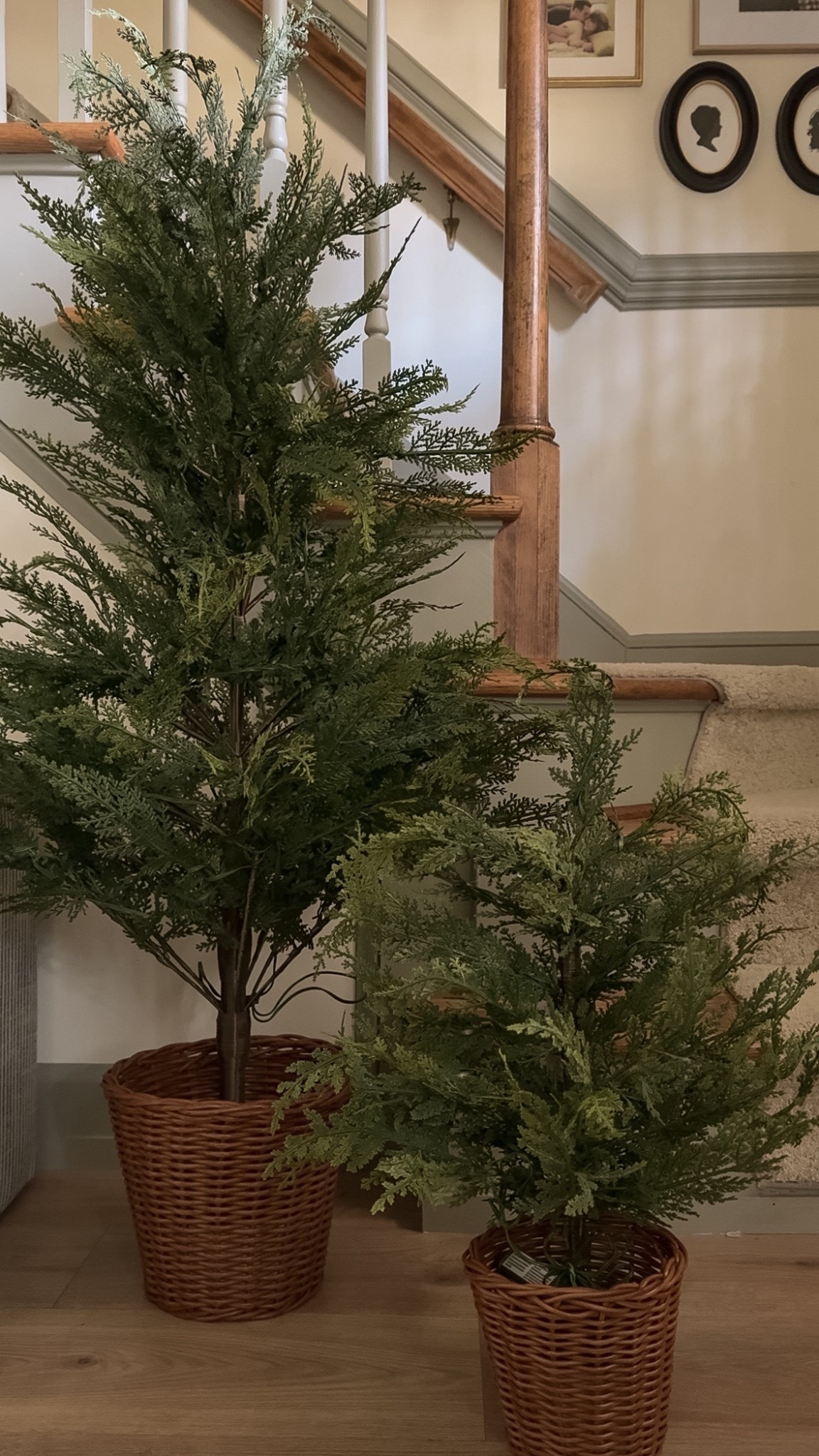 Porch decor Christmas decor artificial faux trees

#LTKSeasonal #LTKHoliday #LTKHome