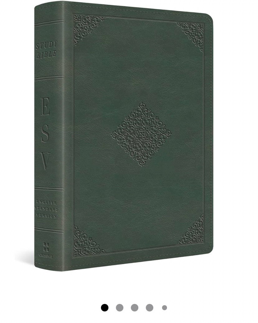 My Bible! I use the ESV Study Bible. It has a commentary & maps and I love it! I have the olive black one myself, but there are lots of great options!
I’ll share other ESV Bible options in other posts! There are floral ones that are journaling Bibles with extra space for writing (no commentary tho) that are super cute too!

#LTKFindsUnder100 #LTKFindsUnder50 #LTKFamily