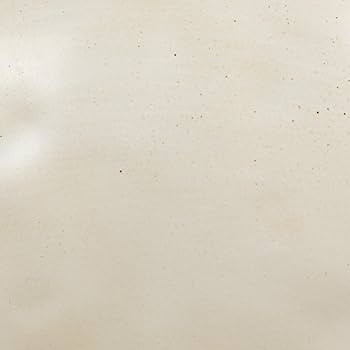 Creative Co-Op Stoneware Bowl w Reactive Glaze, White | Amazon (US)