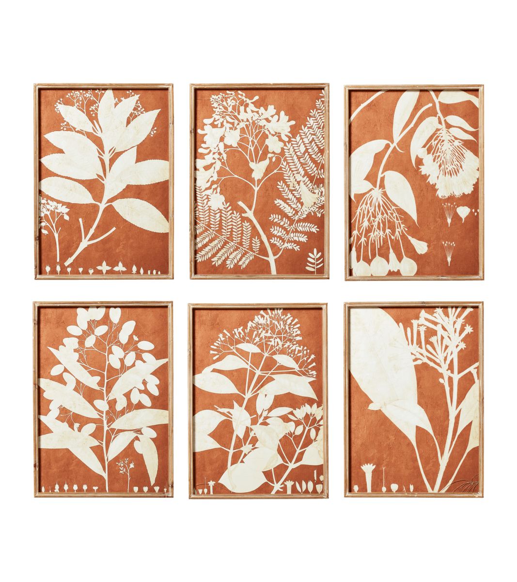 Set of Six Flora Photogram Framed Prints - Orange | OKA US