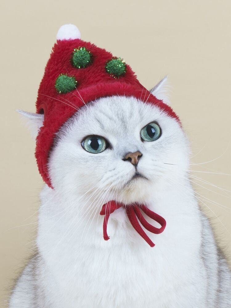1pc Christmas Pet Hat | SHEIN