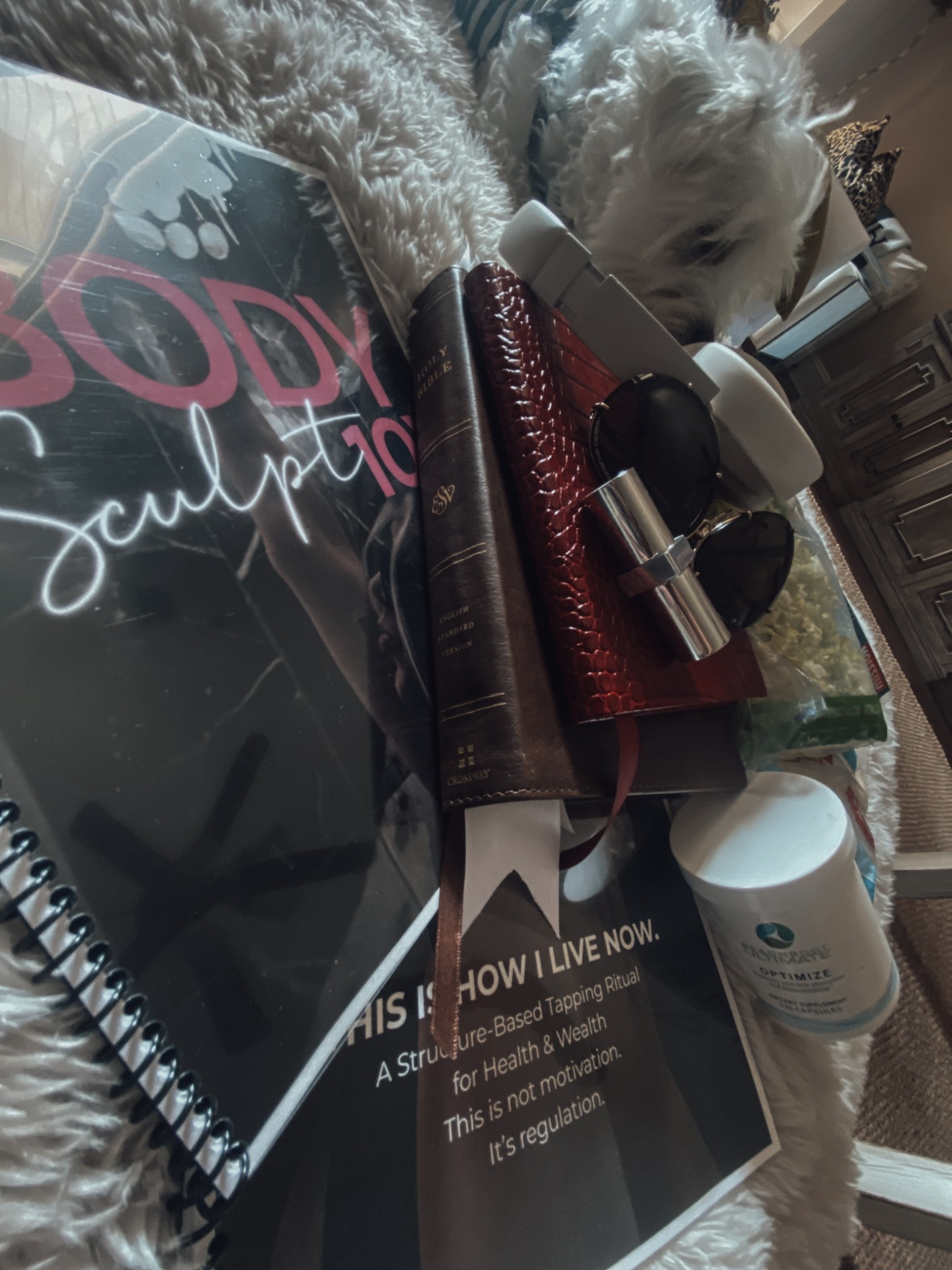 #LTKdayinmylife #LTKmorningroutine #LTKstorytime