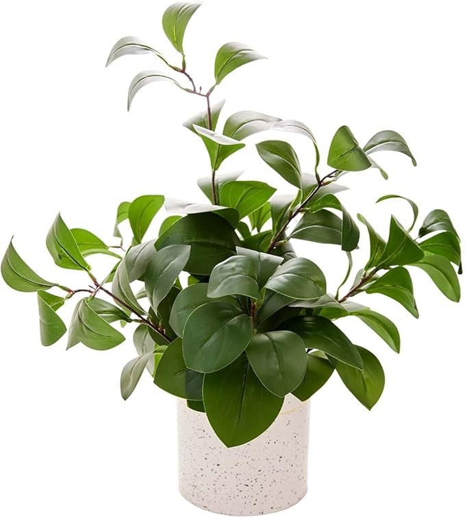 AlphaAcc Fake Plants Greenery Ficus Leaf Artificial Plant Indoor Bathroom Potted Faux Plant Decor... | Amazon (US)