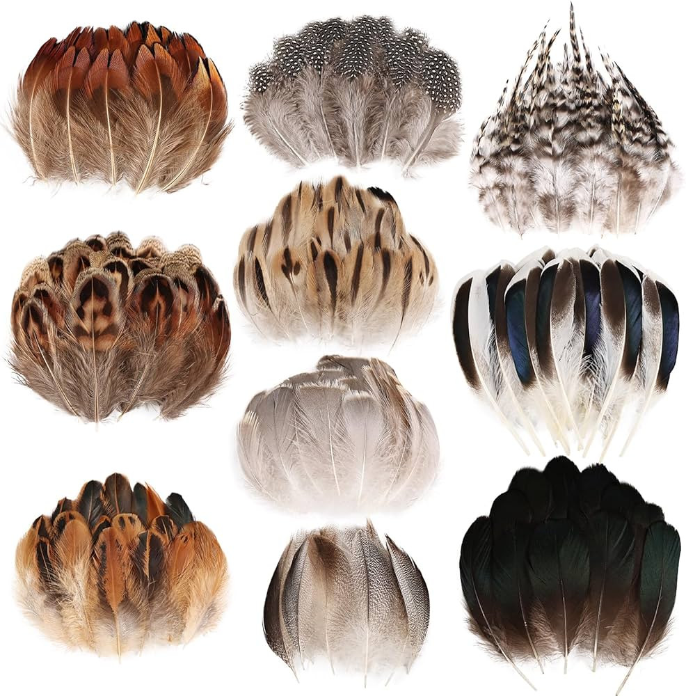 FeelfunFeather 300 pcs Small Feathers - 10 Style Mixed Spotted Decorative Natual Pheasant Feather... | Amazon (US)