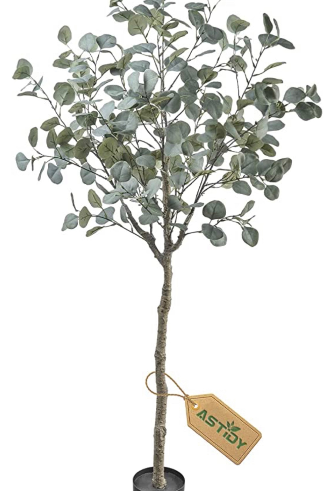 Artificial Eucalyptus Tree

#LTKhome #LTKunder100
