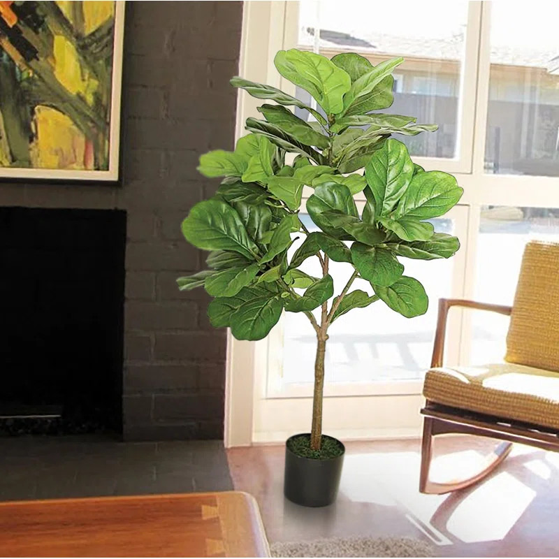 Large Leaf Fig Tall Floor Ficus Tree in Pot | Wayfair North America