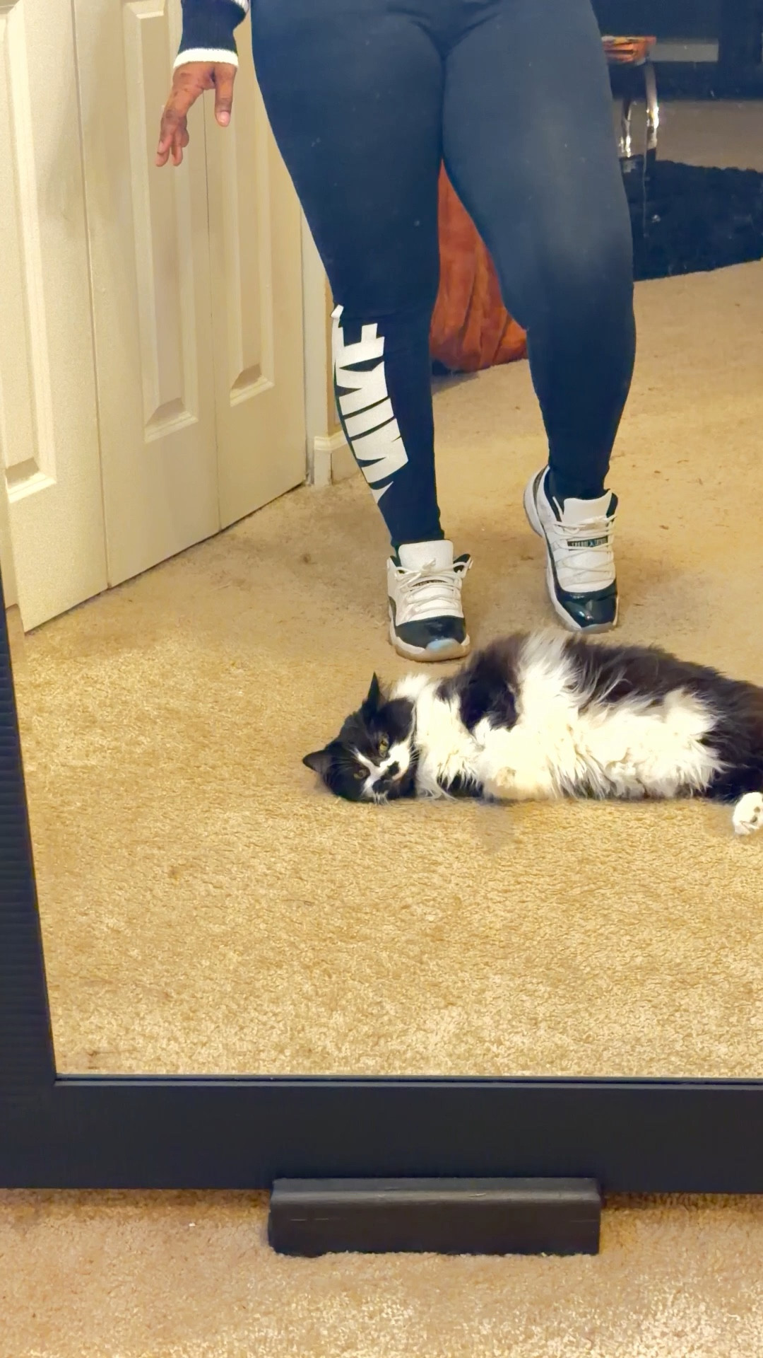 I love mixing a casual sweater with an everyday sporty piece.  But what I love the most is this cardigan sweater that can be paired with anything.
Shop, or browse any of these pieces…. and more on LTK (Free) 
📌 Search (Creators) Mz_Ronnie

#LTKActive #LTKU #LTKootd